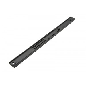 Single 22mm RIS rail (WELL)